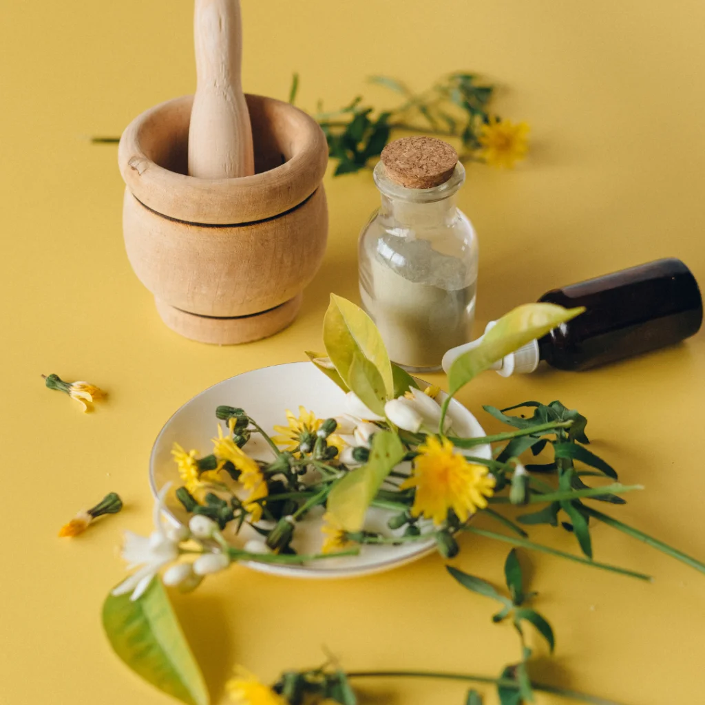 Menikmati Kesegaran Alami Setiap Hari dengan Minuman Herbal